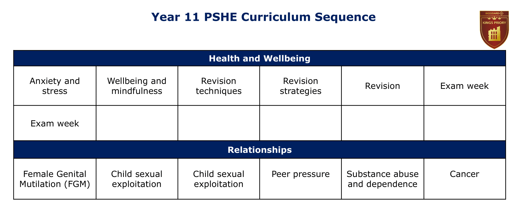 Year 11 PSHE sequencing diagram